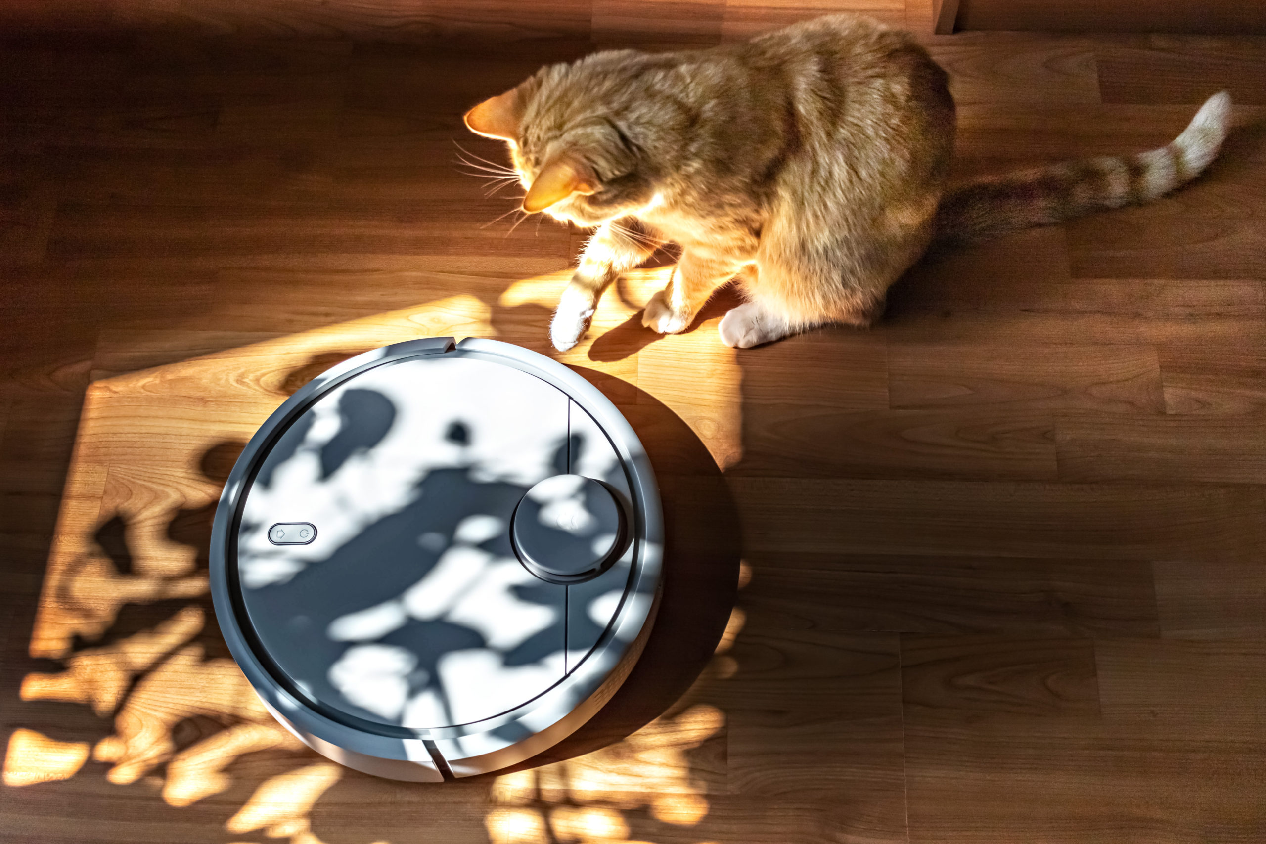 What the Roomba Teaches Us About Pushing Through Fear of Failure MOFI
